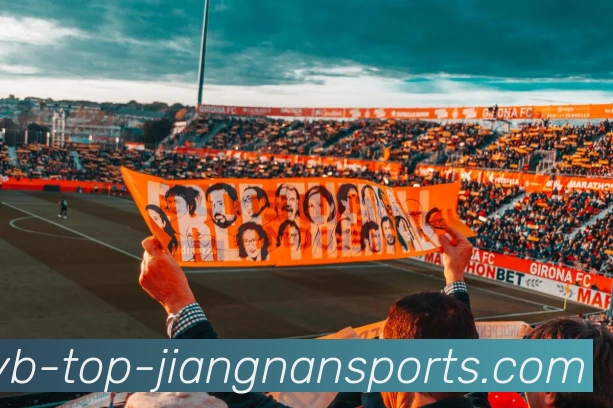 多媒体互动体验